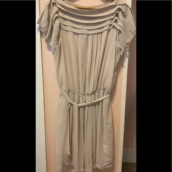 Max Studio Dresses & Skirts - Max Studio Dotted Swiss Mini